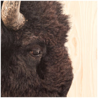 Four Hands Art Studio American Bison by Getty Images