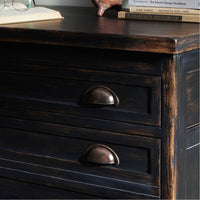 Four Hands Architects Cabinet - Distressed Black Veneer