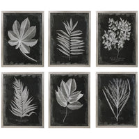 Uttermost Foliage Framed Prints, Set of 6