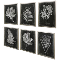 Uttermost Foliage Framed Prints, Set of 6