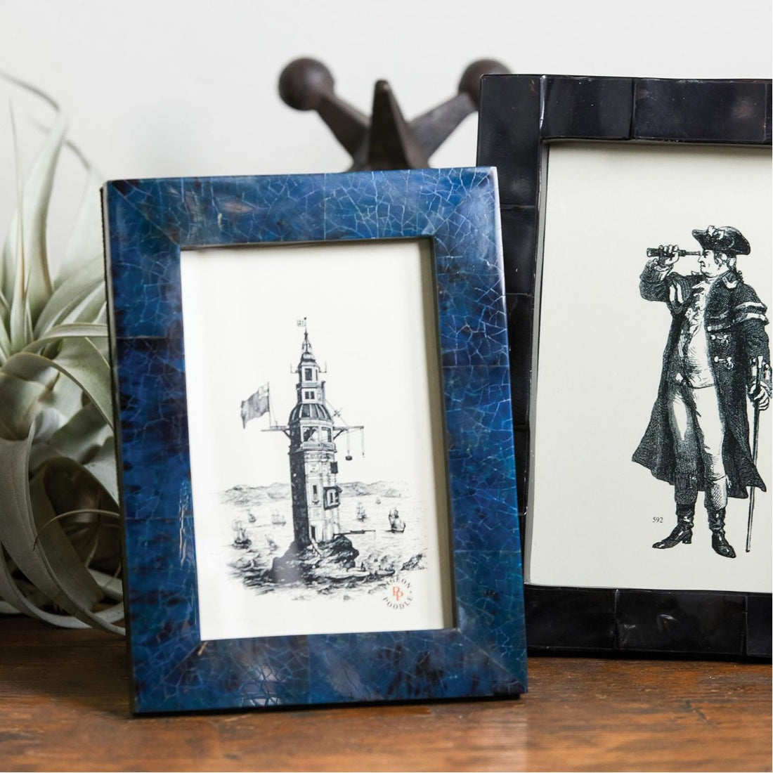 Pigeon and Poodle Colmar Dark Blue Pen Shell Frame