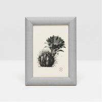 Pigeon and Poodle Oxford Realistic Faux Shagreen Frame