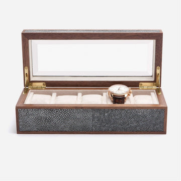 Pigeon and Poodle Elmbridge 5-Watch Box with Beveled Glass