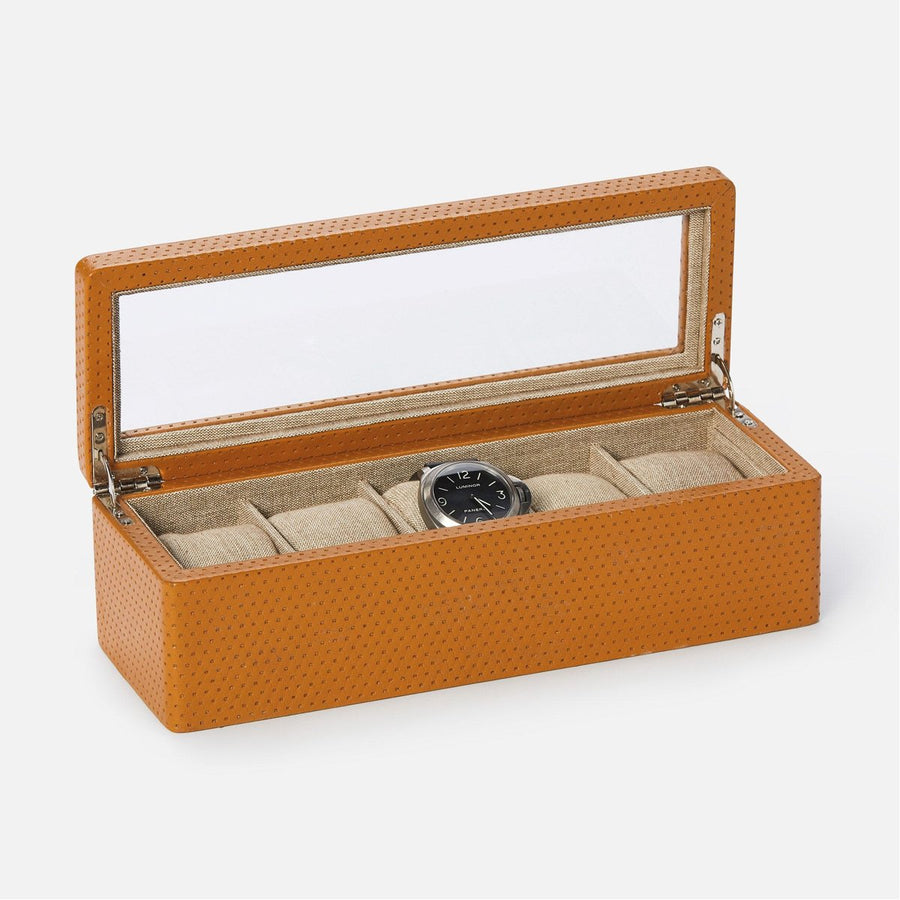 Pigeon and Poodle Leeds 5-Watch Box with Glass