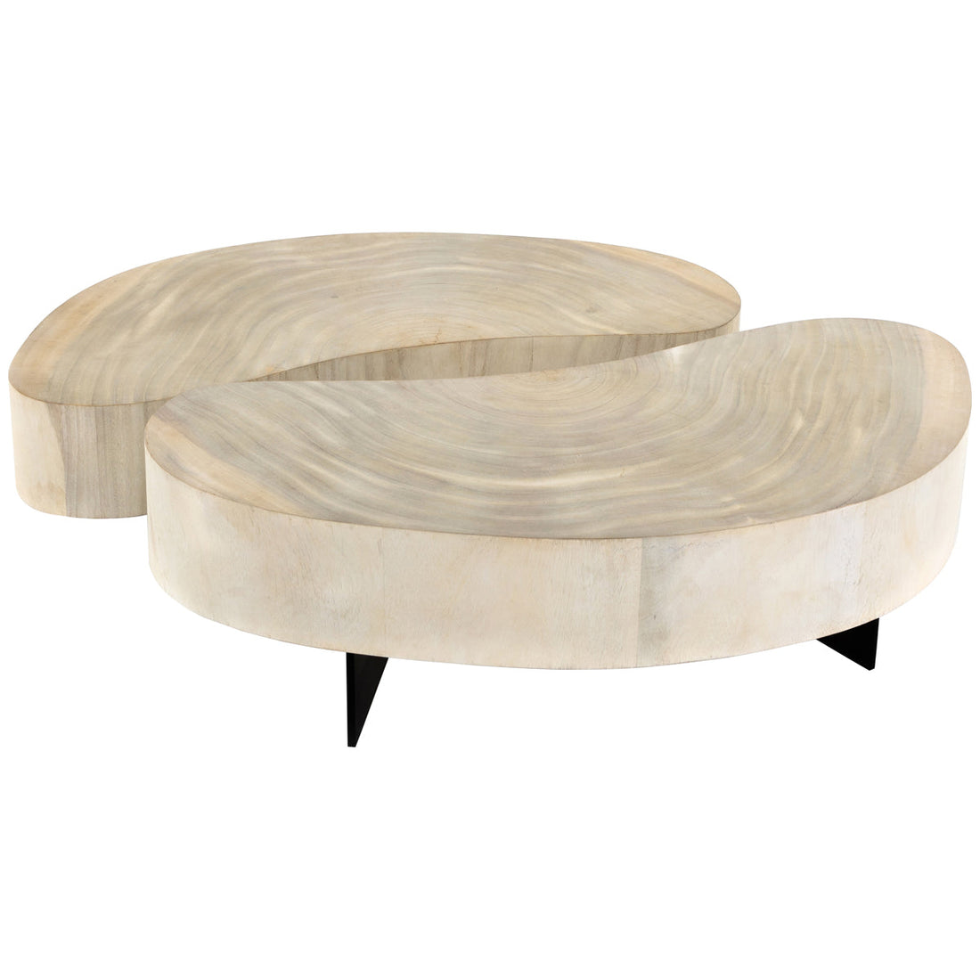 Four Hands Wesson Avett Coffee Table, 2-Piece Set