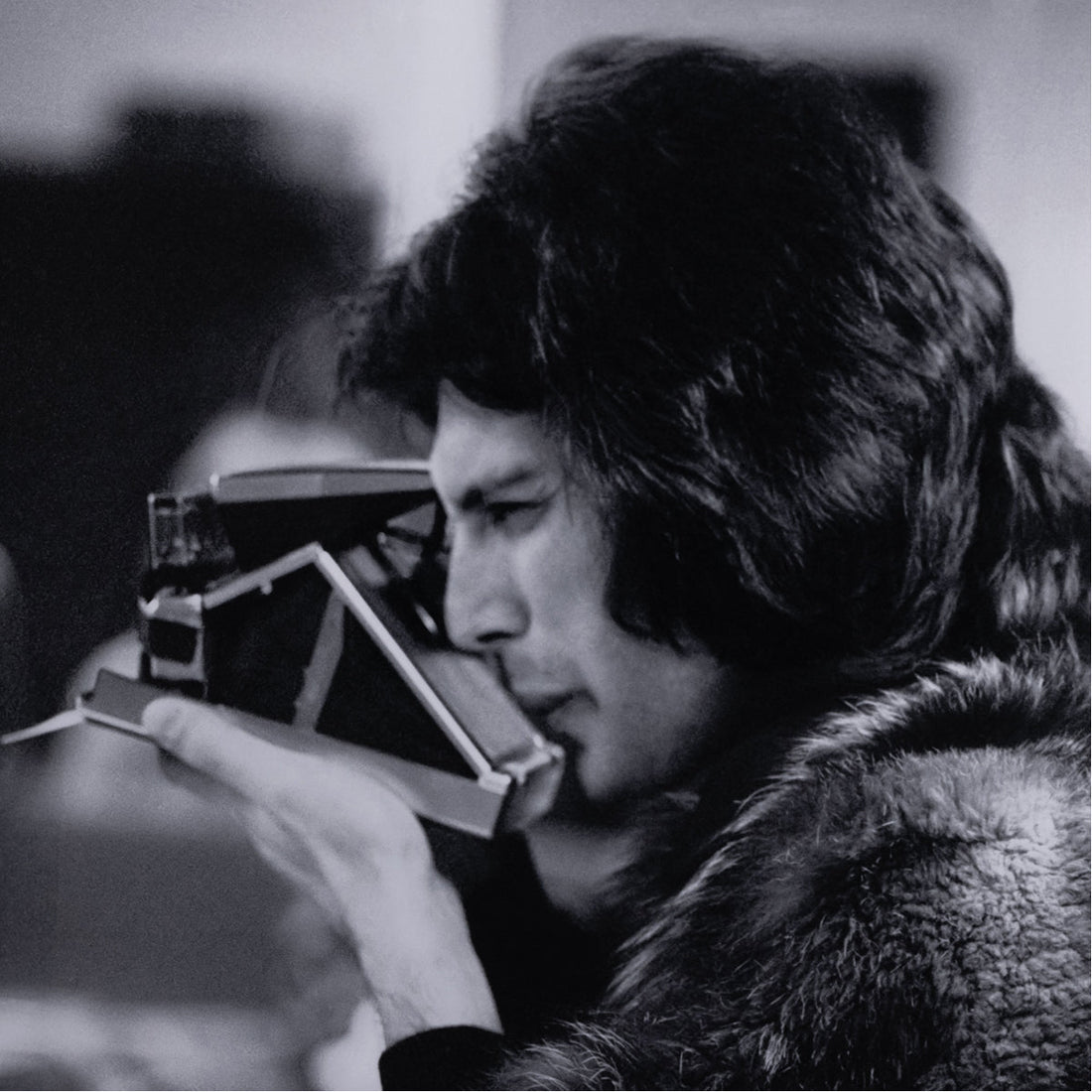 Four Hands Art Studio Freddie in Furs by Getty Images