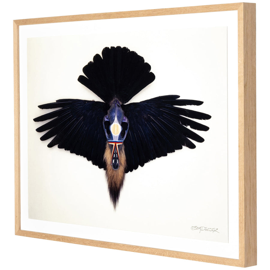 Four Hands Art Studio Coyote Crow by Boyd Elder