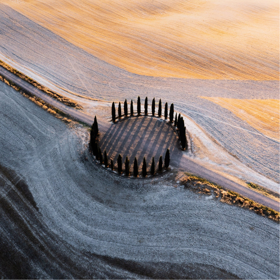 Four Hands Art Studio Synchronism By Getty Images