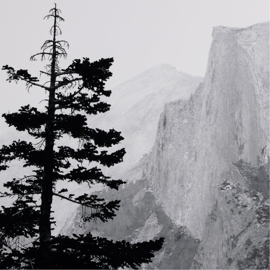 Four Hands Art Studio Half Dome from Glacer Point by Getty Images