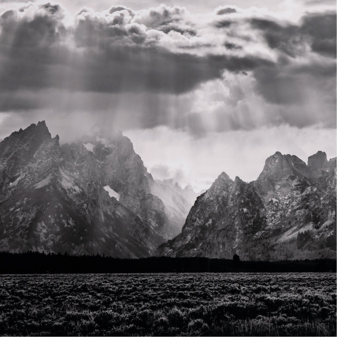 Four Hands Art Studio Grand Teton Range by Getty Images