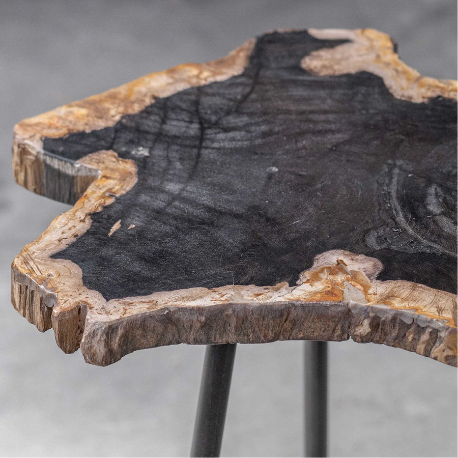 Uttermost Mircea Petrified Wood Accent Table