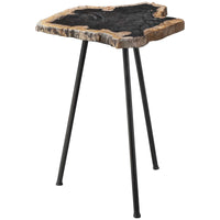 Uttermost Mircea Petrified Wood Accent Table