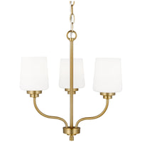 Sea Gull Lighting Windom 3-Light Chandelier