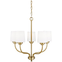 Sea Gull Lighting Windom 5-Light Chandelier