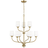 Sea Gull Lighting Windom 9-Light Chandelier