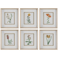 Uttermost Classic Botanicals Framed Prints, 6-Piece Set