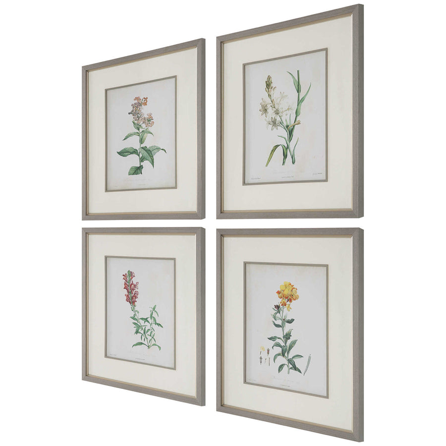 Uttermost Heirloom Blooms Study Framed Prints, 4-Piece Set