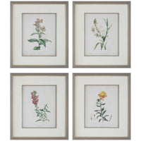 Uttermost Heirloom Blooms Study Framed Prints, 4-Piece Set