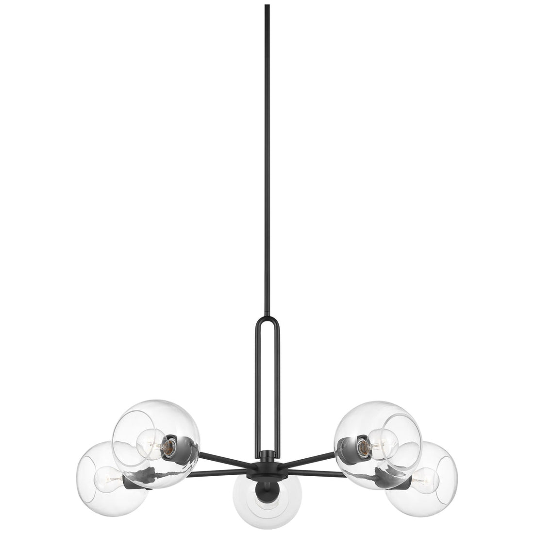 Sea Gull Lighting Codyn 5-Light Chandelier without Bulb