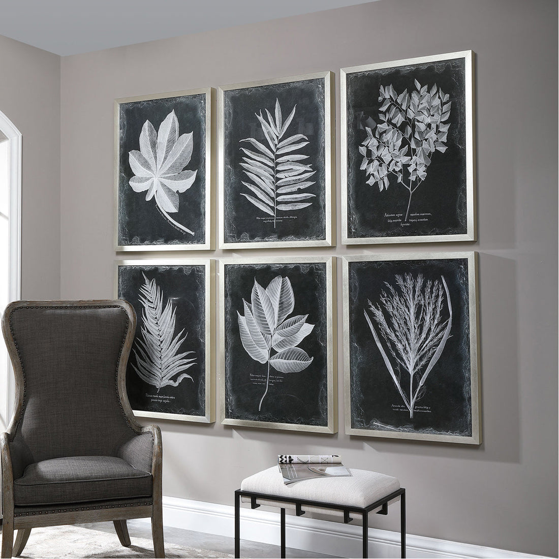 Uttermost Foliage Framed Prints, Set of 6