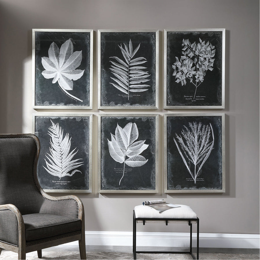 Uttermost Foliage Framed Prints, Set of 6