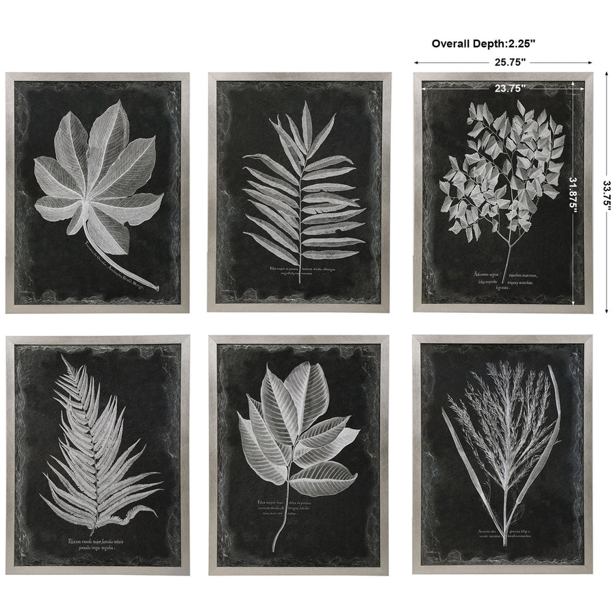 Uttermost Foliage Framed Prints, Set of 6