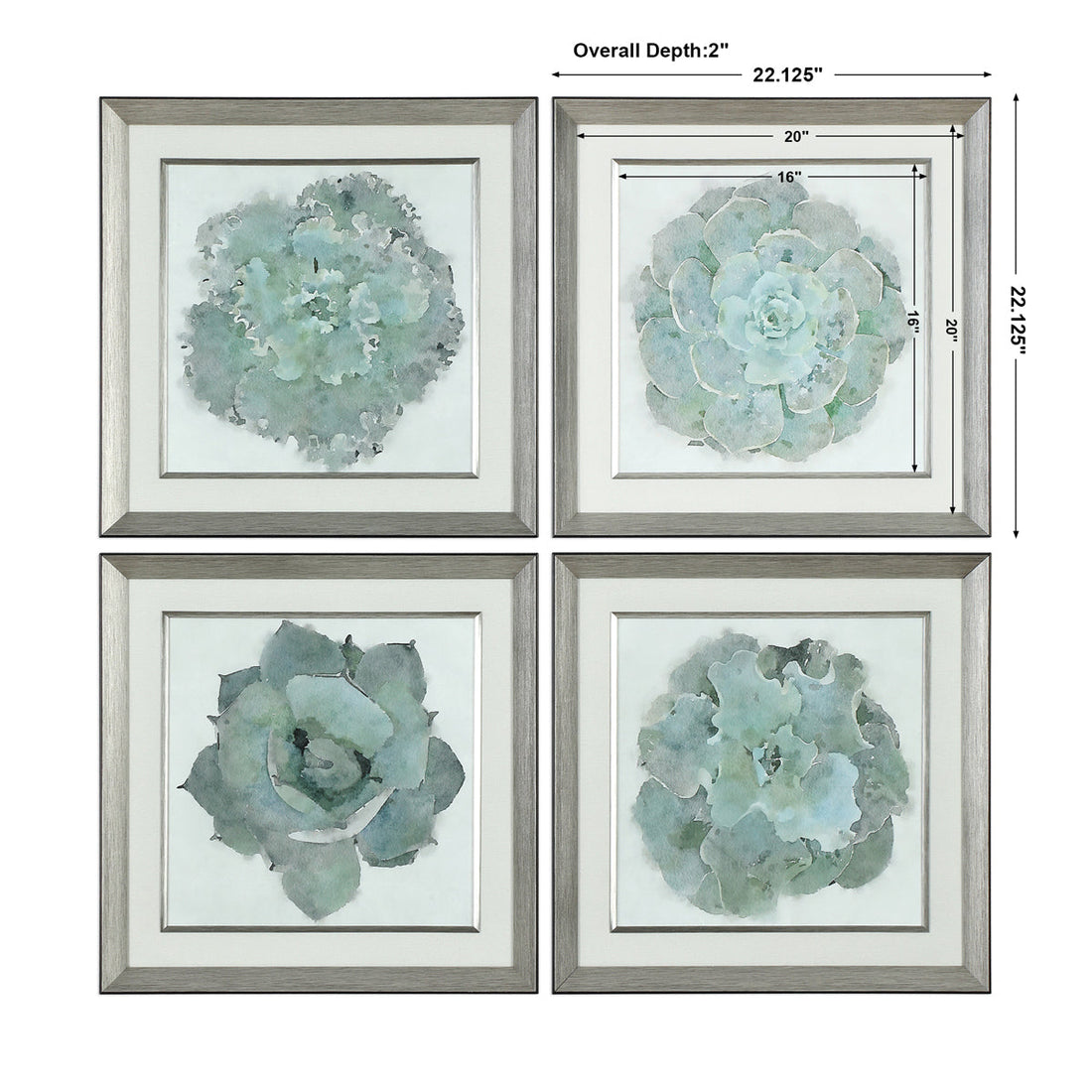 Uttermost Natural Beauties Botanical Prints, Set of 4