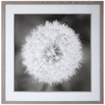 Uttermost Dandelion Seedhead Framed Print