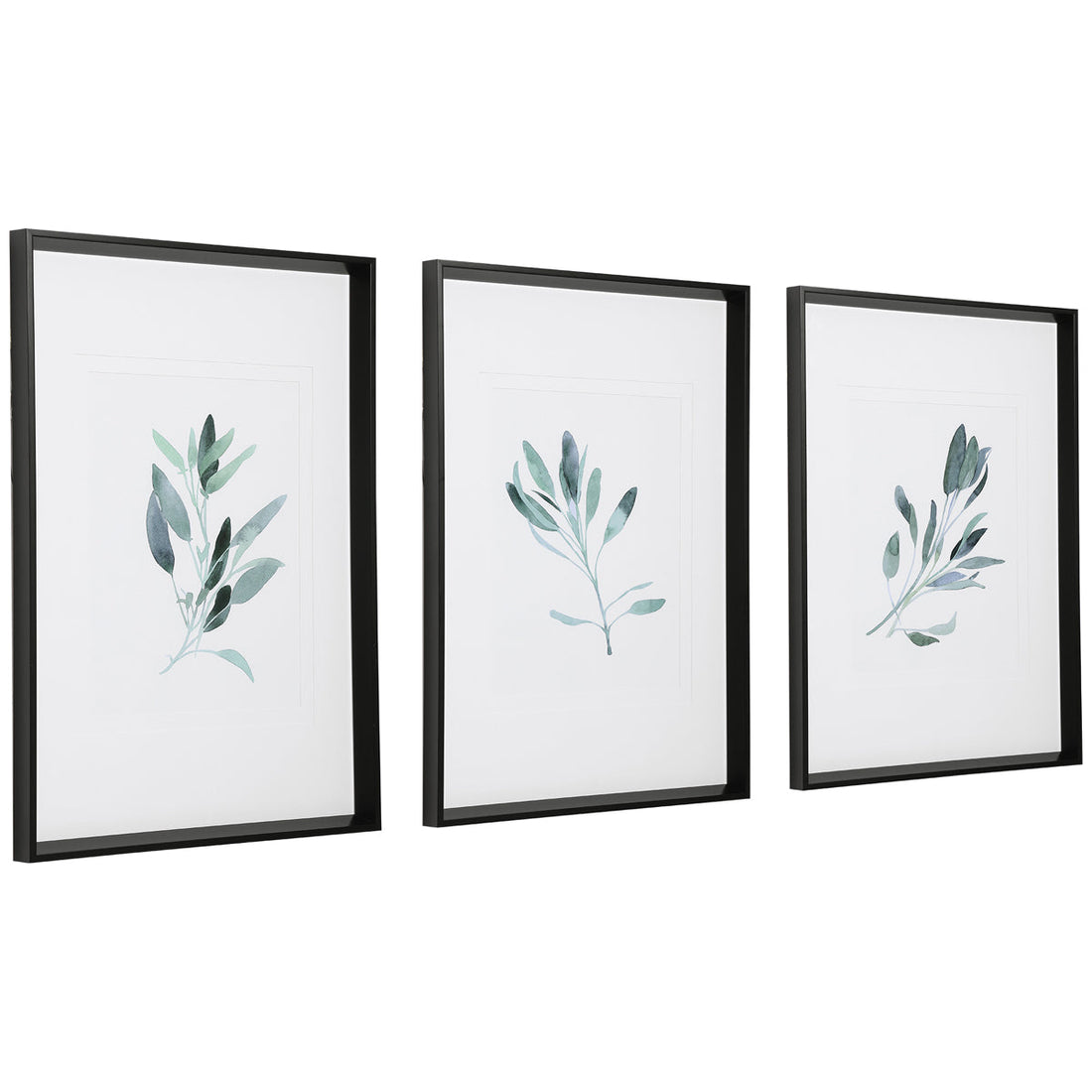 Uttermost Simple Sage Watercolor Prints, Set of 3