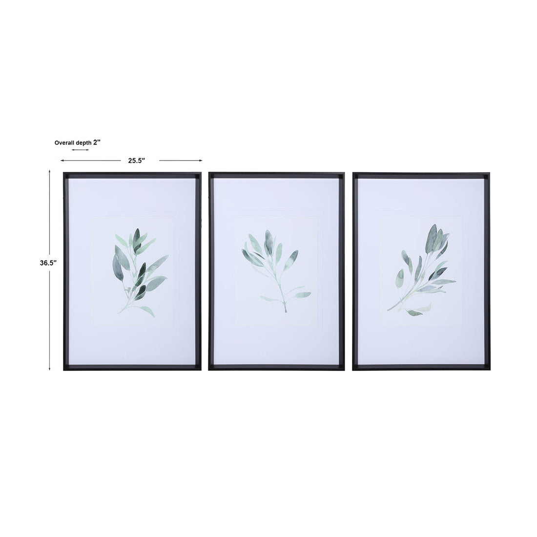 Uttermost Simple Sage Watercolor Prints, Set of 3