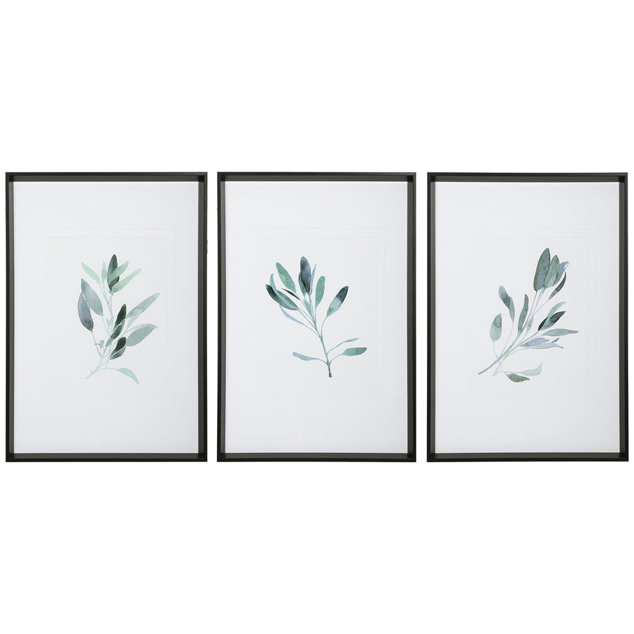 Uttermost Simple Sage Watercolor Prints, Set of 3