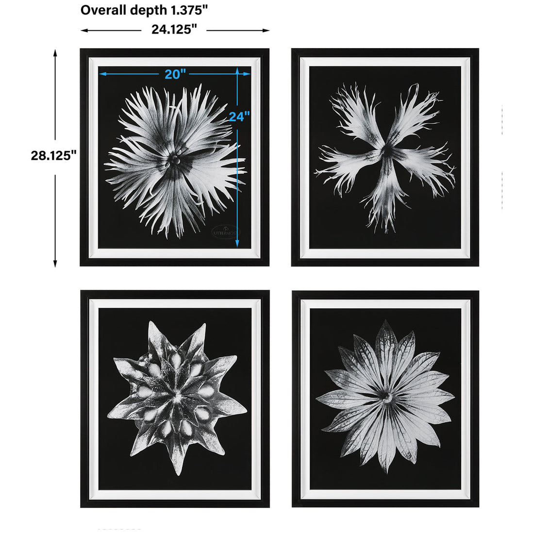 Uttermost Contemporary Floret Framed Prints, Set of 4