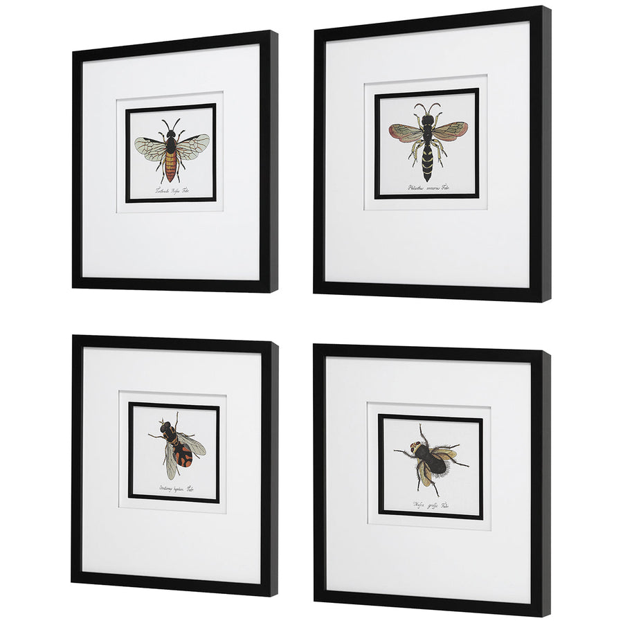 Uttermost Anthophila Framed Prints, Set of 4