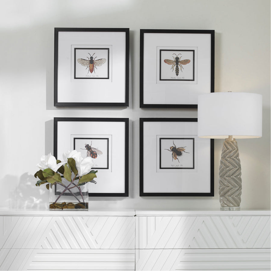 Uttermost Anthophila Framed Prints, Set of 4