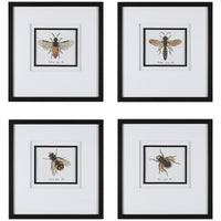 Uttermost Anthophila Framed Prints, Set of 4