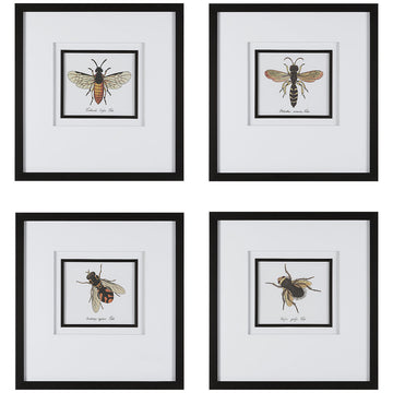 Uttermost Anthophila Framed Prints, Set of 4