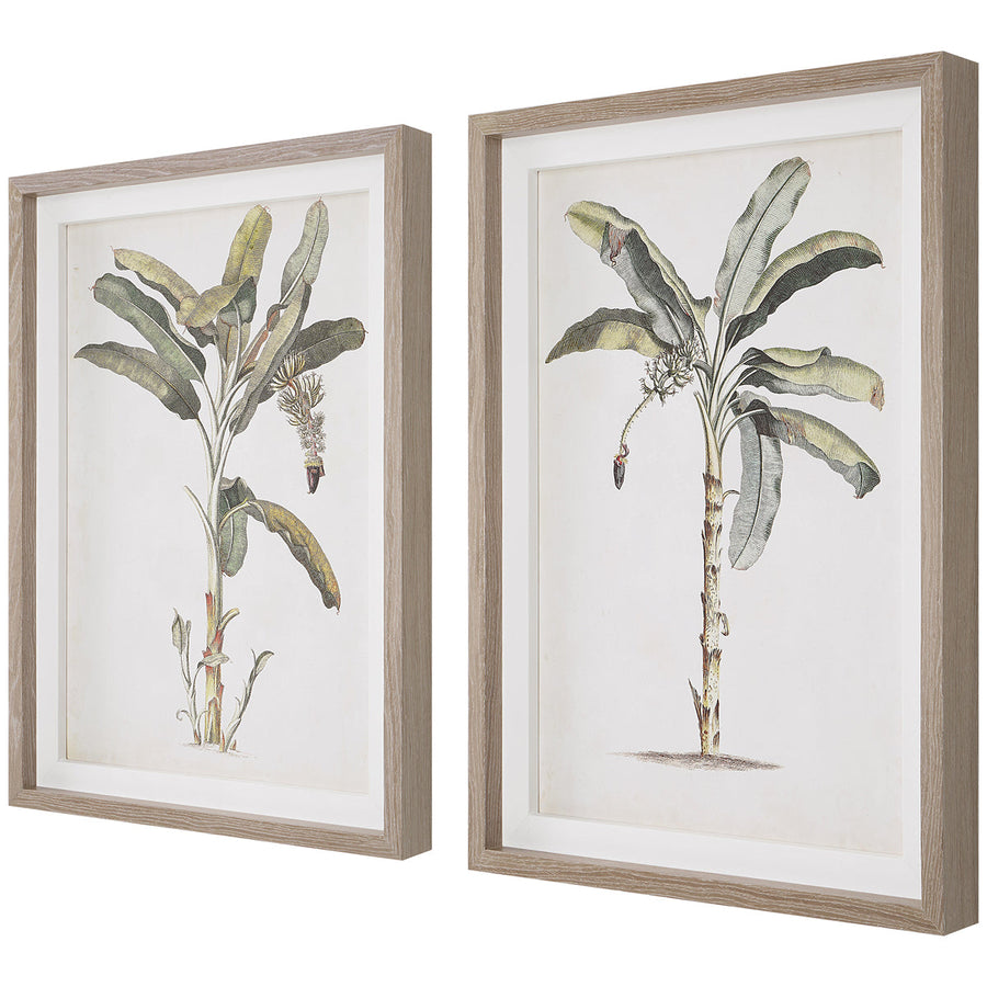 Uttermost Banana Palm Framed Prints, Set of 2