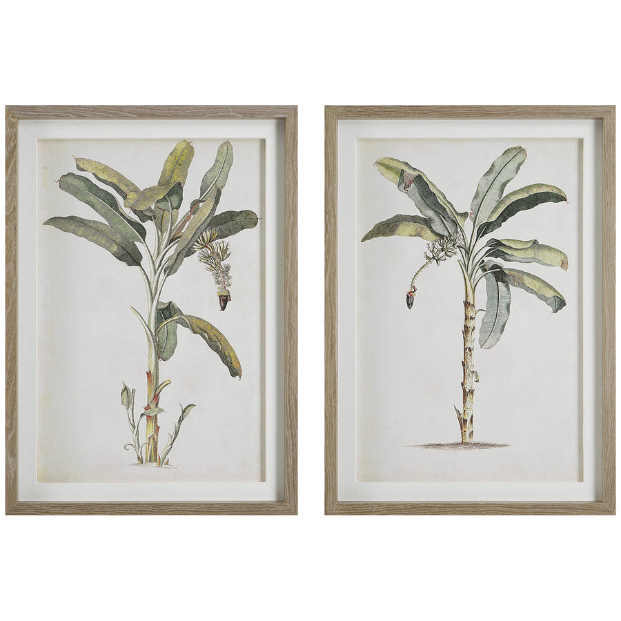 Uttermost Banana Palm Framed Prints, Set of 2