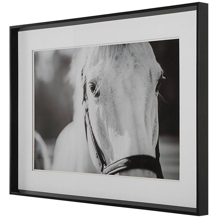 Uttermost Eyes on The Prize Framed Print