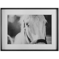 Uttermost Eyes on The Prize Framed Print