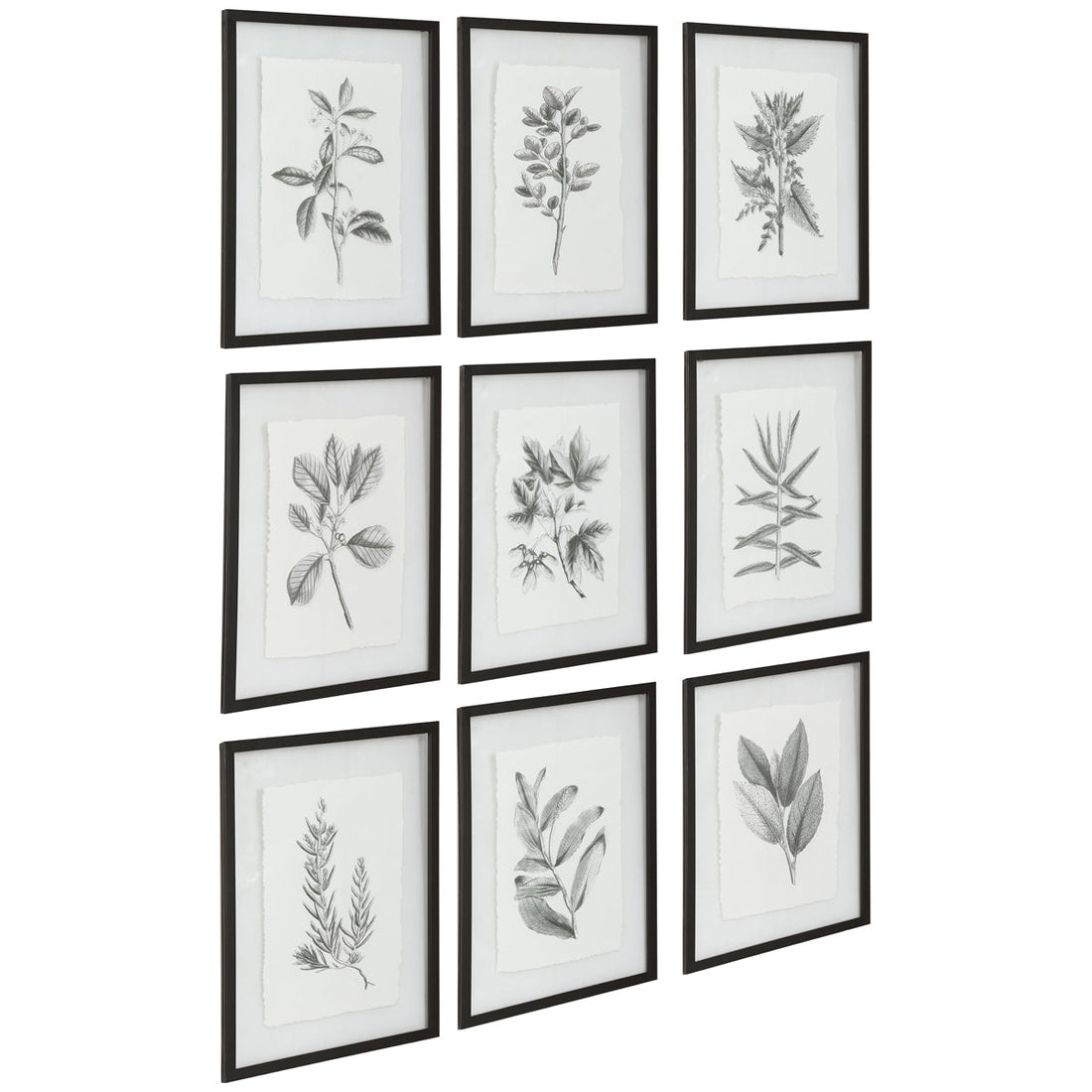 Uttermost Farmhouse Florals Framed Prints, Set of 9