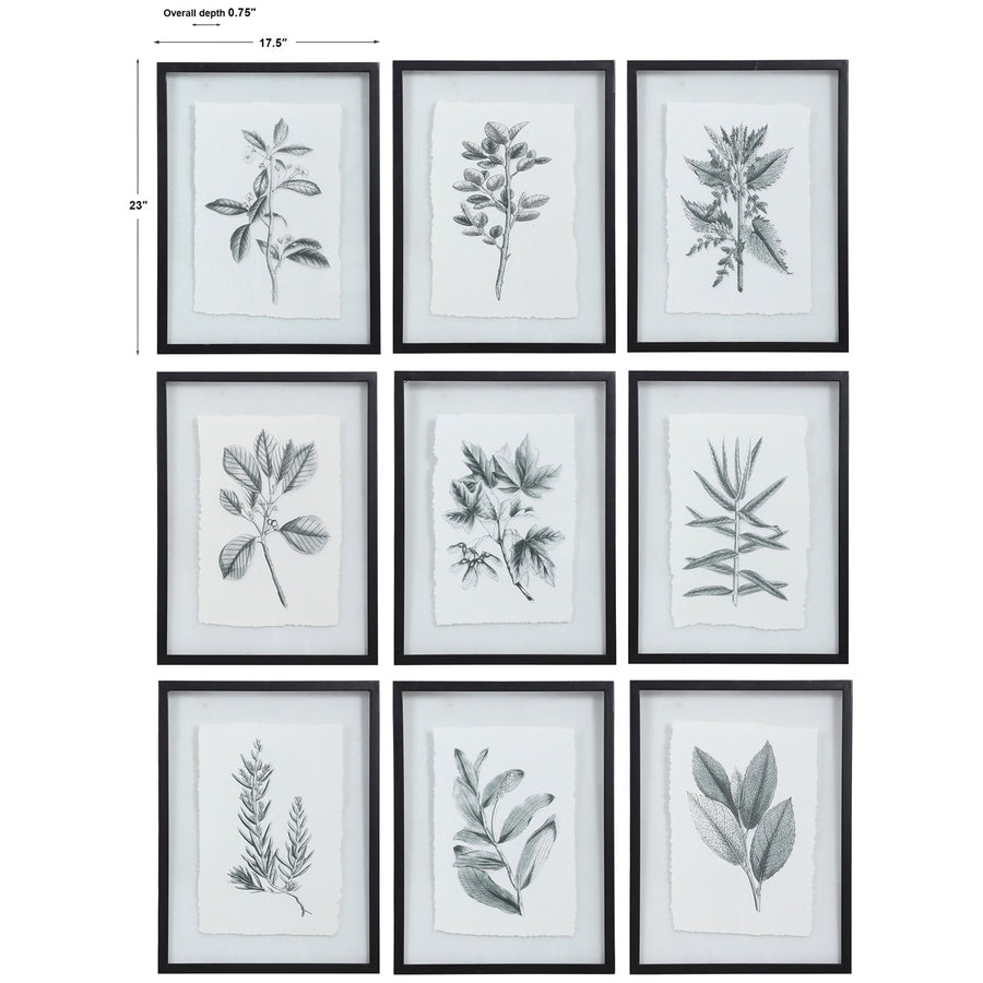 Uttermost Farmhouse Florals Framed Prints, Set of 9