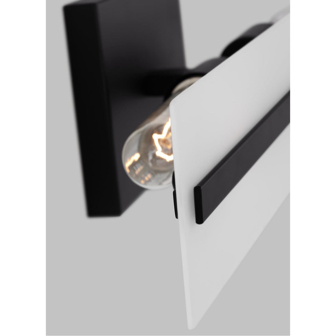 Sea Gull Lighting Dex 2-Light Wall/Bath Sconce