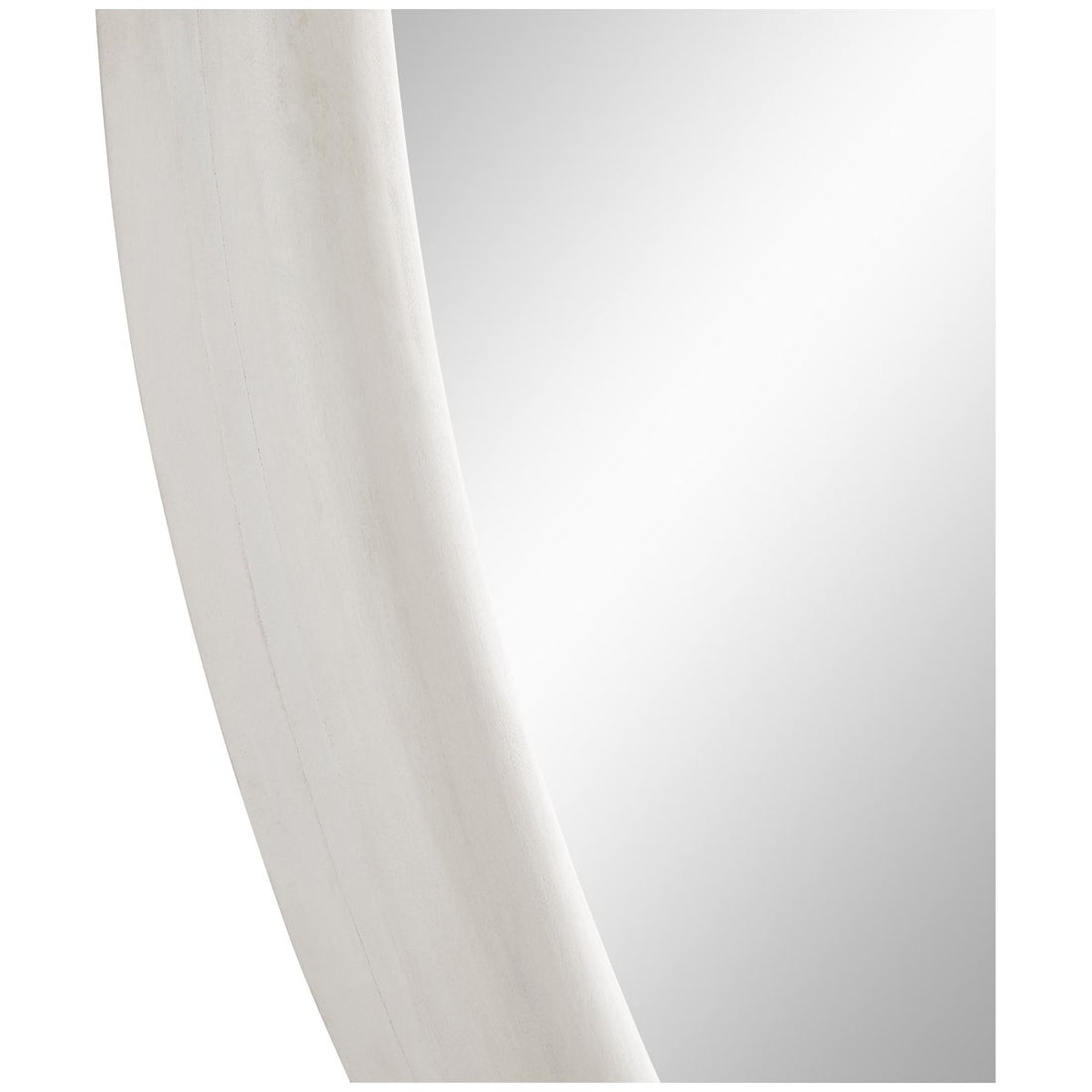 Arteriors Lesley Large Mirror