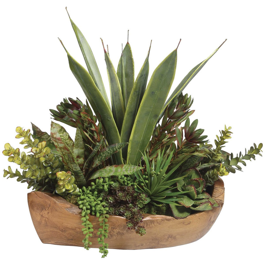 Uttermost Salar Succulents In Teak Bowl