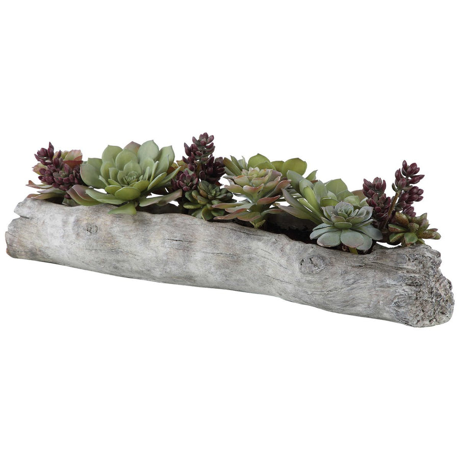 Uttermost Charita Lush Succulents