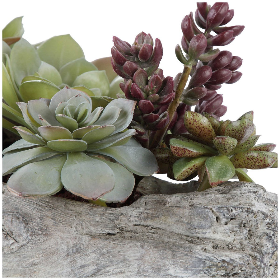 Uttermost Charita Lush Succulents