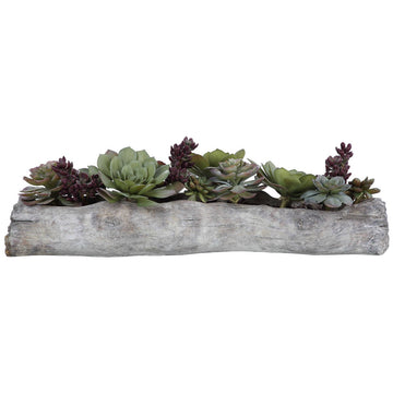 Uttermost Charita Lush Succulents