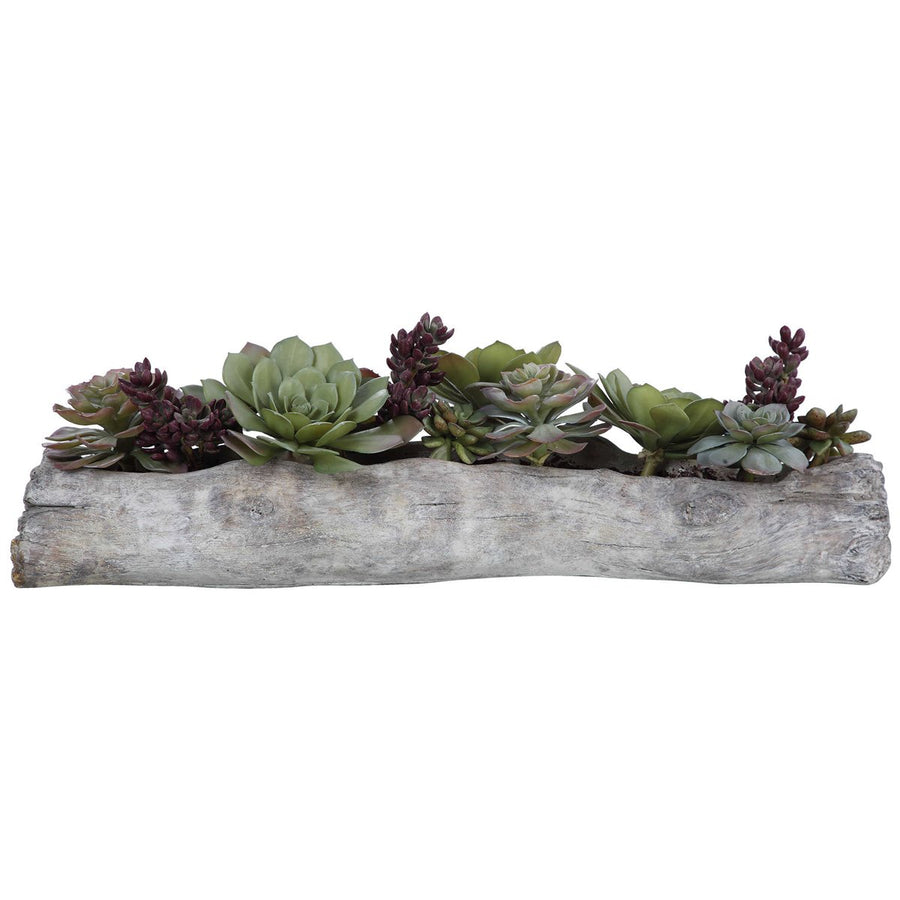 Uttermost Charita Lush Succulents