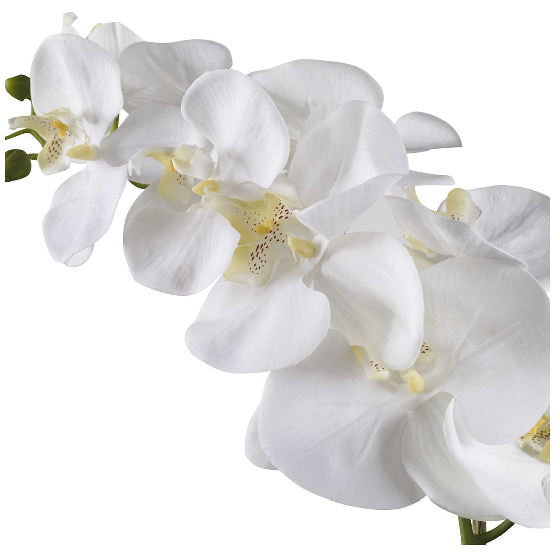 Uttermost Cami White Orchid